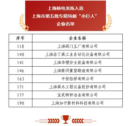 上海閥門五廠 以突破性閥門基礎軟件躋身“小巨人”，砥礪前行無畏創新華章